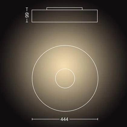 גוף תאורה philips Hue Fair Ceiling Lamp White Ambiance-Black