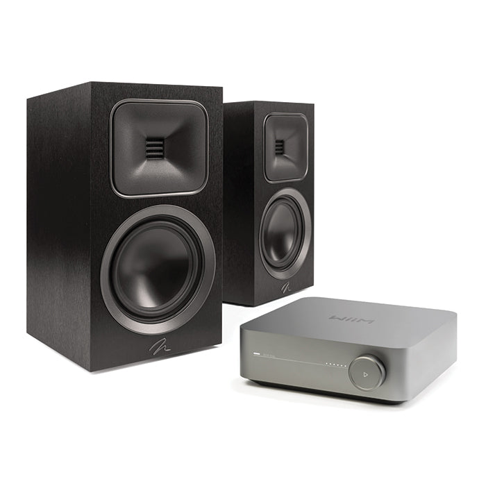 מערכת סטריאו WiiM Amp Pro + Martin Logan Foundation B2