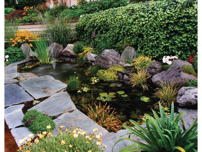 רמקול סלע לגינה/בריכה Martin Logan ML-65R