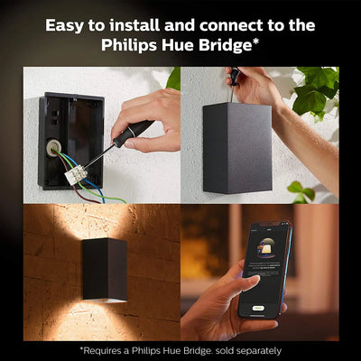 גוף תאורה philips Hue Resonate Outdoor Black Wall Light 8W W&Color Ambiance